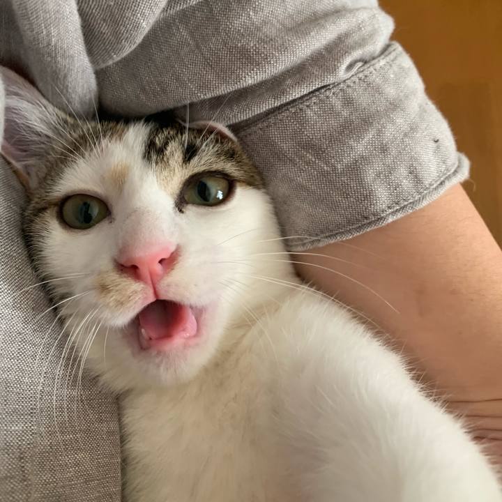 Ba66dc15 780e 49a8 8620 840d1abccfcb 1598226368834