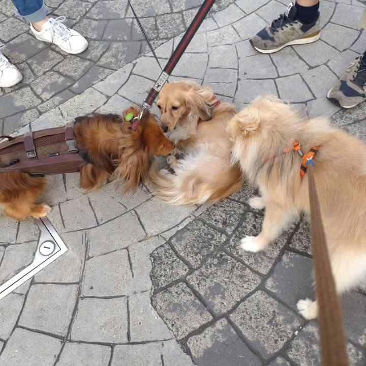 Ba6707cd 80f7 45a4 893d 53f3e9f5f478 1751617544528