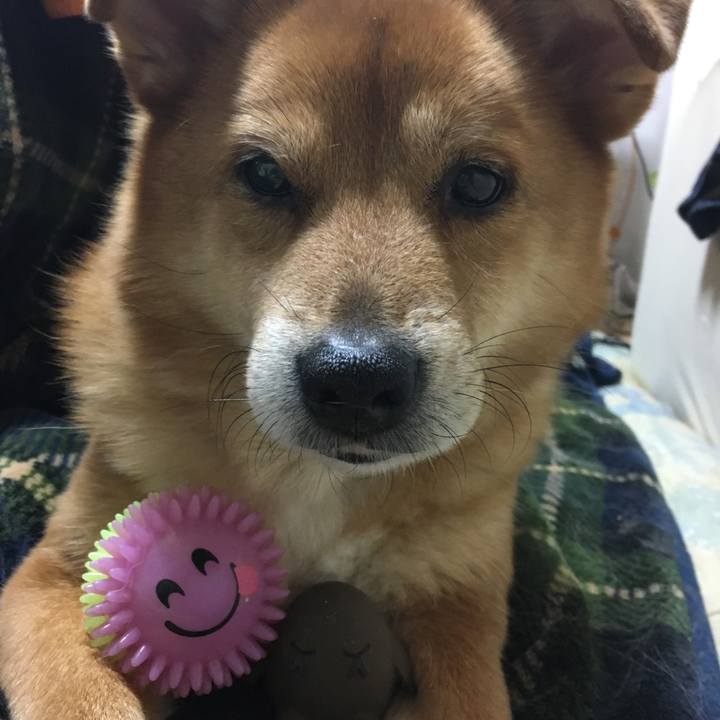 Ba6712cf debe 45c0 a7e2 f114212b26e0 1523190486469