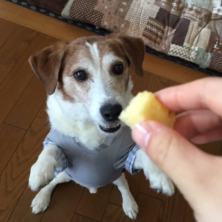 Ba671ee7 63d2 4d01 8cc9 c5b69b8ee5f5 1560139747157