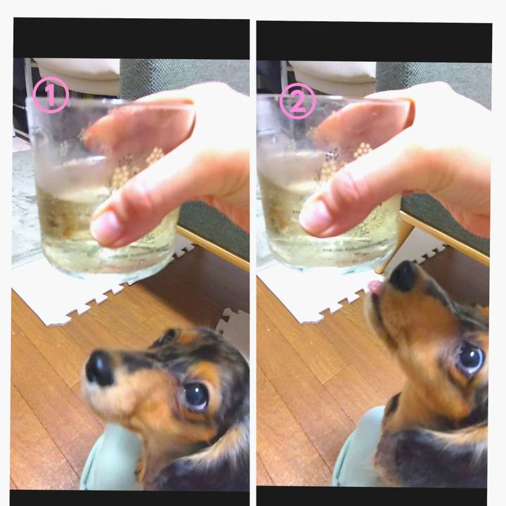 Ba672858 23c4 4981 9777 66179273d07c 1697805322078