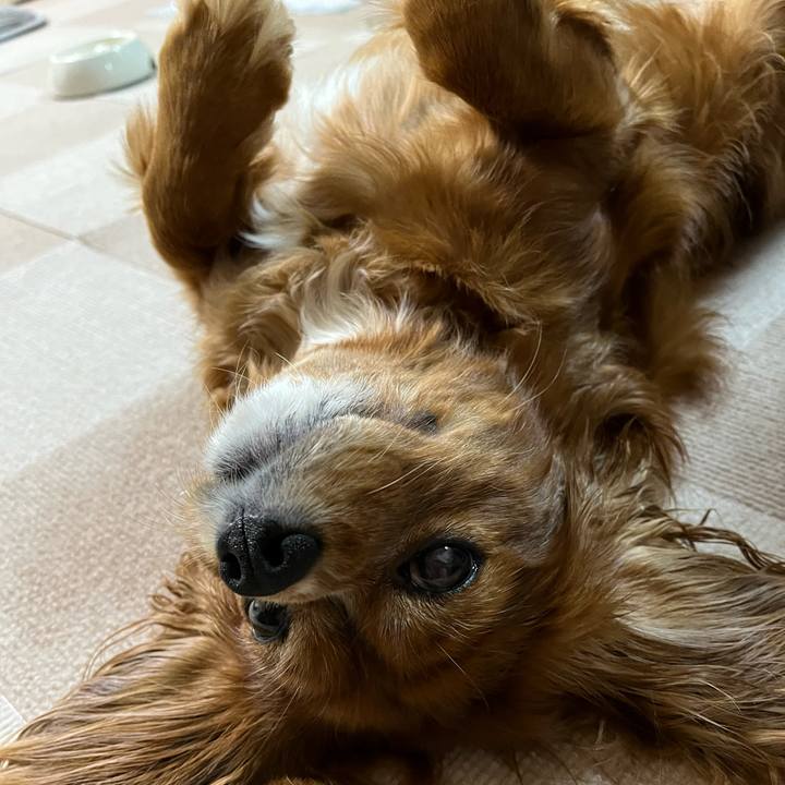 Ba6738b9 93ce 4440 81e6 6f7389f4d6d8 1662590192914