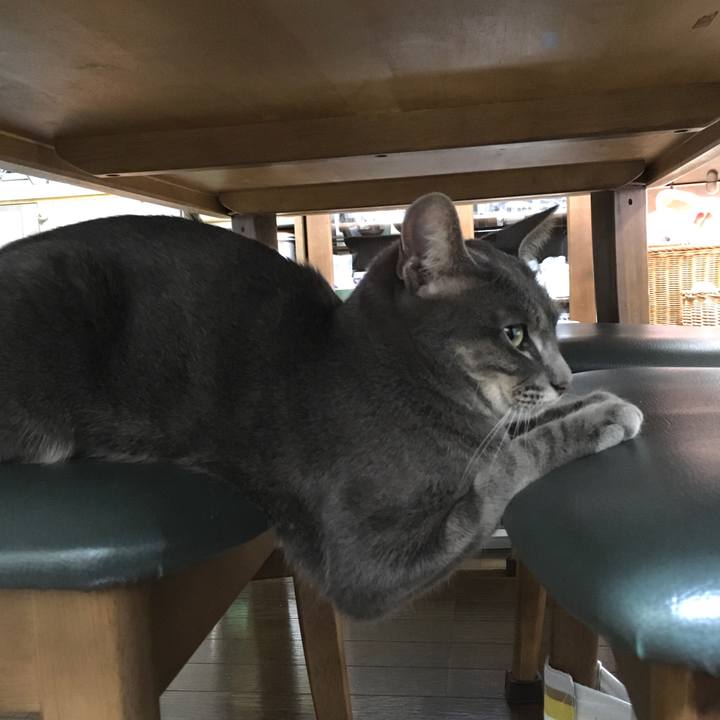 Ba675fe7 fe0f 4949 88a8 255266006c5b 1577621621327