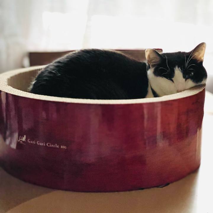 Ba6769b2 3499 4218 bb0a 5b9a373ca821 1645062701695