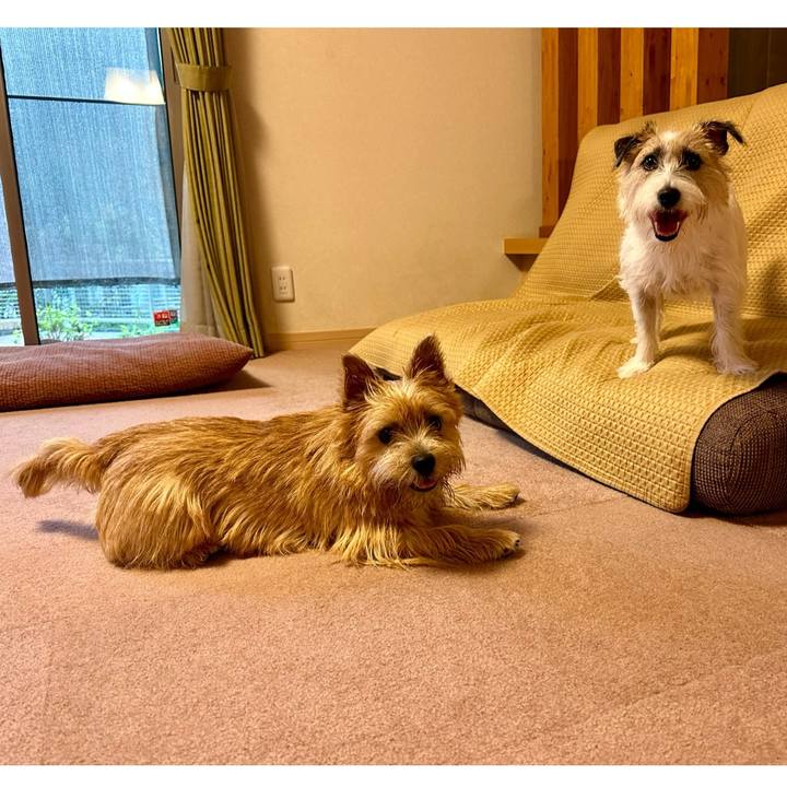 Ba6786a6 5806 4c07 8f0a b99c178f59bf 1728352000422