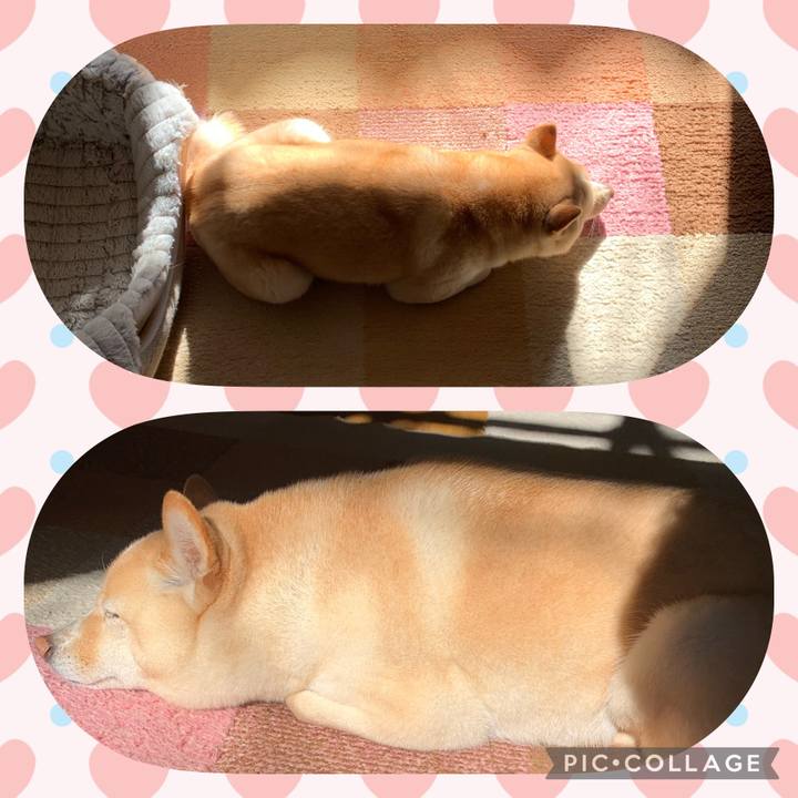 Ba67b92b bf2f 4e1d 8f99 fe942f6318ac 1643680222874