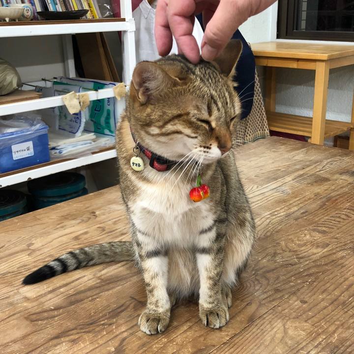 Ba67f0c6 5c59 40dd 92bd 9a77cd0cbc44 1626592087919