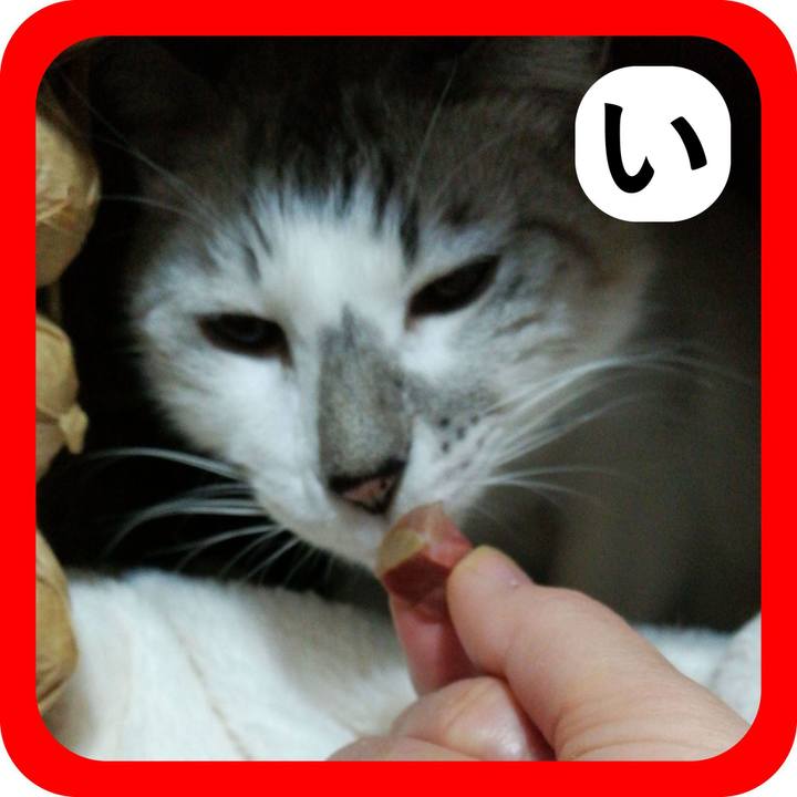 Ba681669 af8e 4854 a246 ebba17460b4a 1514807888569