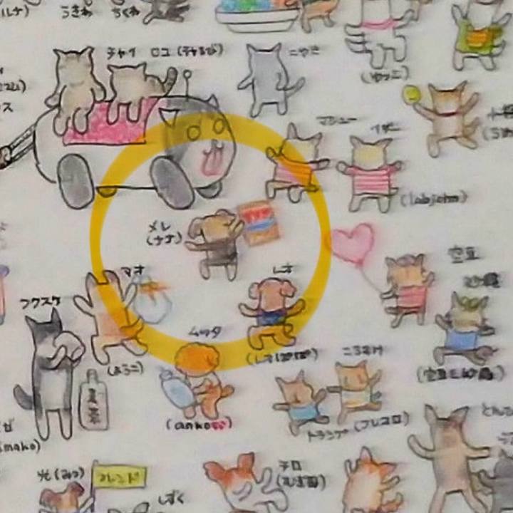 Ba6839ab f4e1 46af b1a3 3a422d884fe2 1703567428213