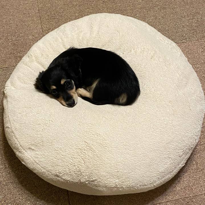 Ba685a19 d2a8 41c0 8bcc 598d638c6633 1664539899927