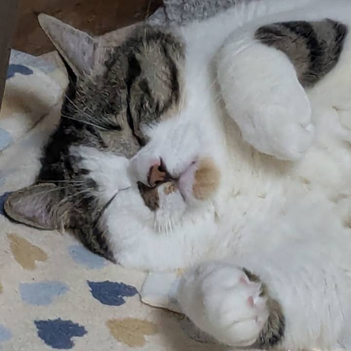 Ba685e7f a7d1 4940 85f8 43f3c004d644 1751541368149