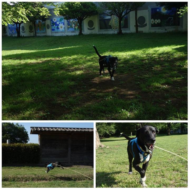 Ba68da91 dbc4 42e4 a8fe 394e1dc2df65 1619137264358