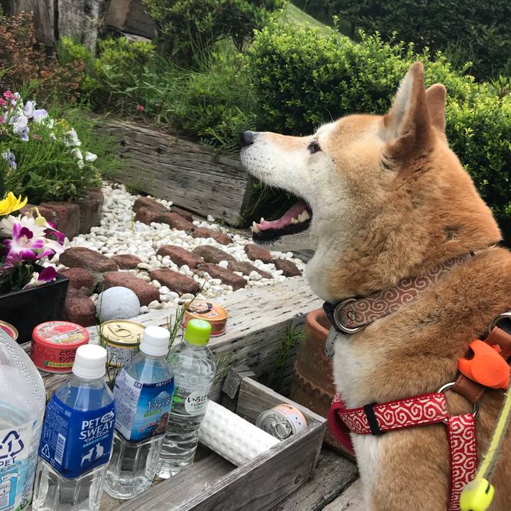 Ba68fa7c 3ce4 4915 81f3 ca4e0a4f84fc 1525240831673