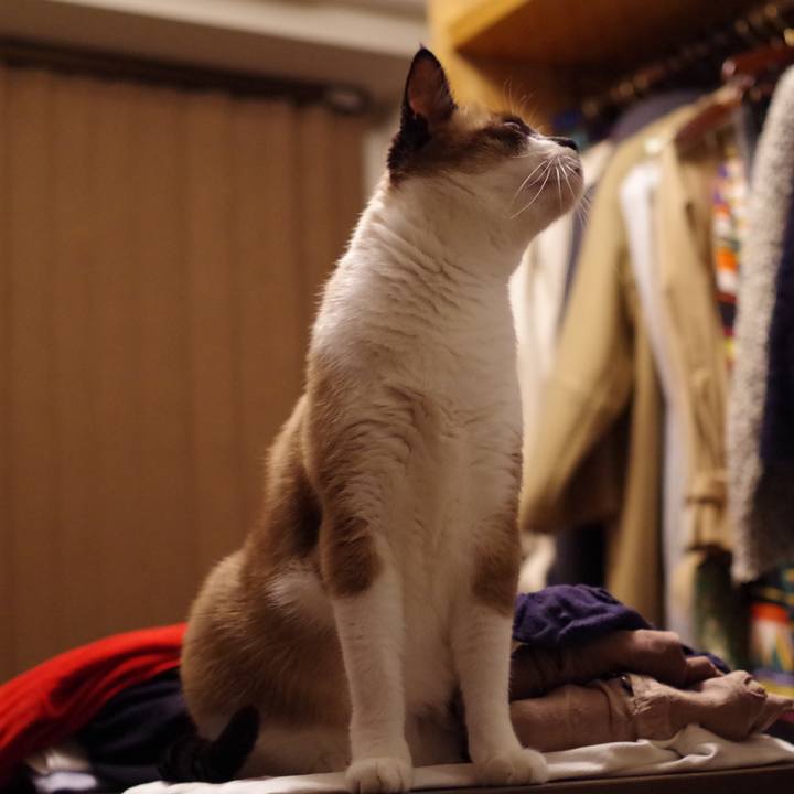 Ba69357b d191 479a b5a6 4527c004d8e2 1557971846579