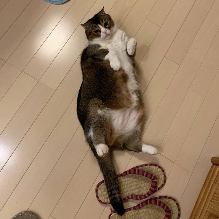 Ba69508f a3a0 4d26 b547 e7be3da4a85a 1571412337255