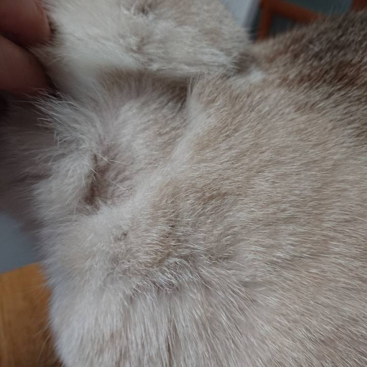 Ba695116 ecd4 41bb b378 c0e6612c38ed 1519293279102