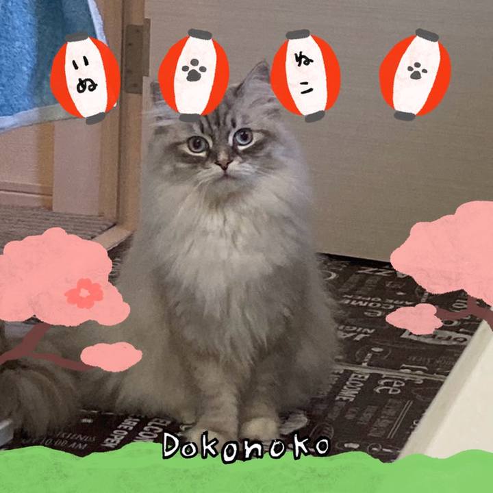 Ba695332 e9b6 4ffc b5b6 d6dc31cb94a7 1712566730876