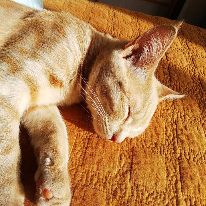 Ba69638f eedc 4b2e 8ab0 ebb52e48aac2 1544317476197