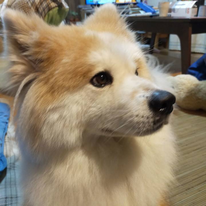 Ba696d32 e2e9 4677 b179 6ccb73c89f58 1659013352176