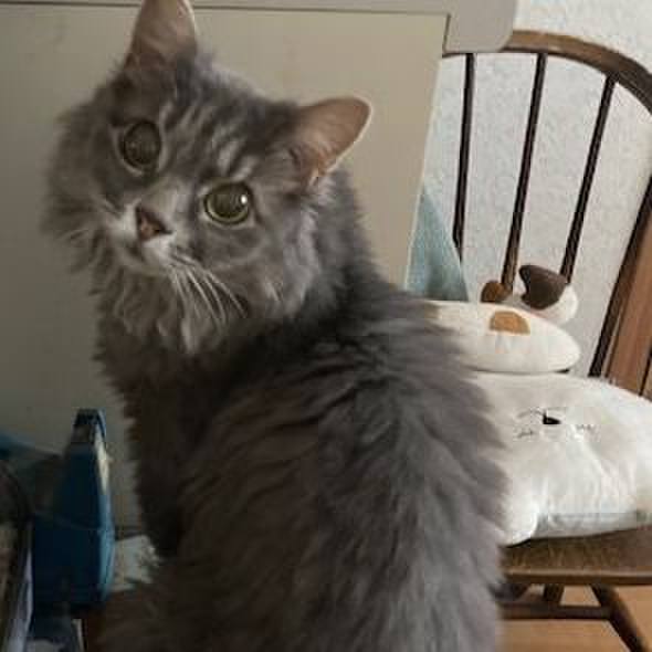 Ba699ab9 c268 426e 878d 330bd2639f70 1662455329501