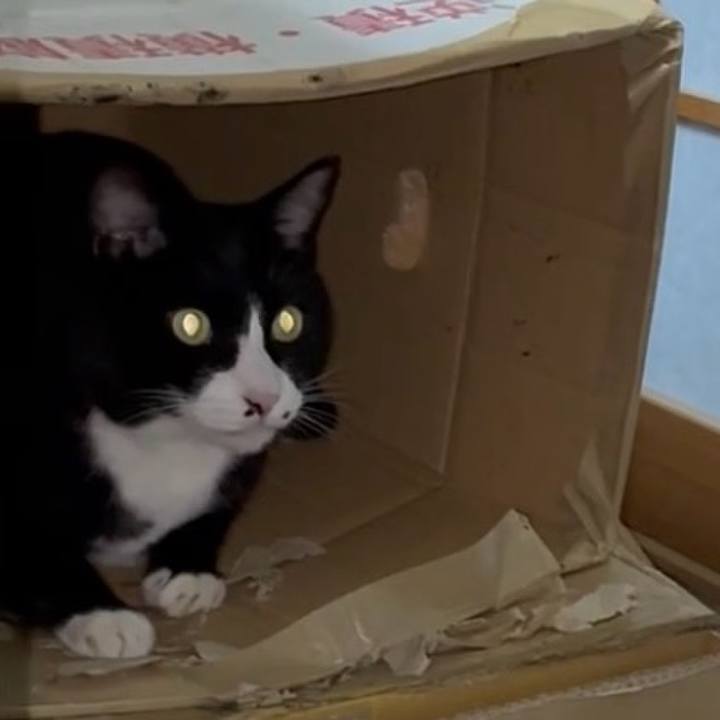 Ba699bfe 7cea 4c31 9bc7 f1a3b81b7475 1760090468508