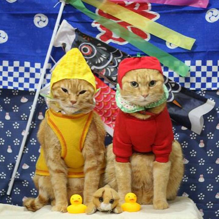 Ba69b0da 53c5 4451 8650 e19bde38c24b 1523839287488