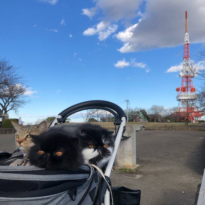 Ba69bb06 0316 4e65 937b 76f038e30714 1671348368329