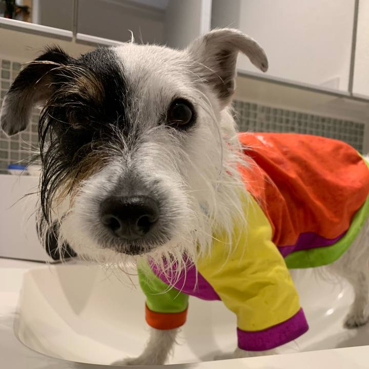 Ba69d945 e391 4df6 be0a eb14633cfa8d 1681520614669