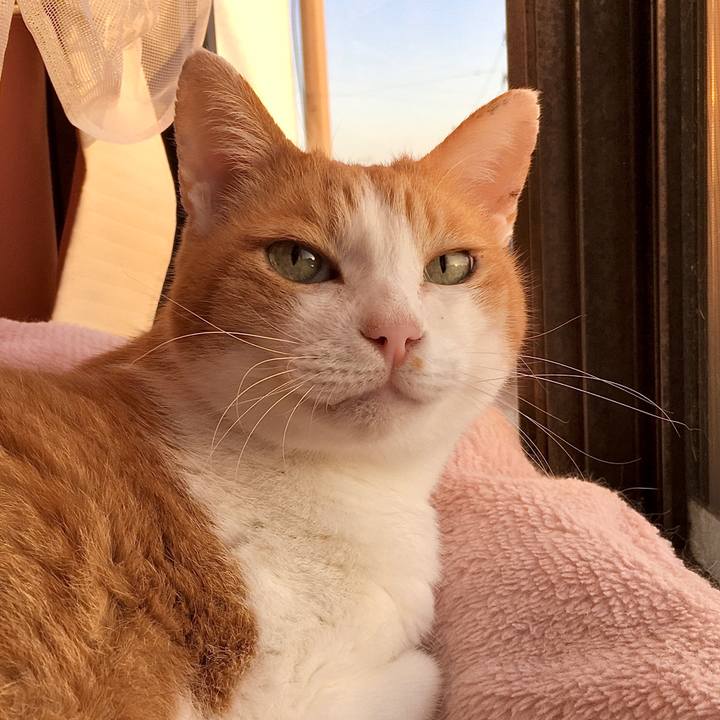 Ba69fb3e c49e 4567 8985 ba4064b1cd9c 1576654802431