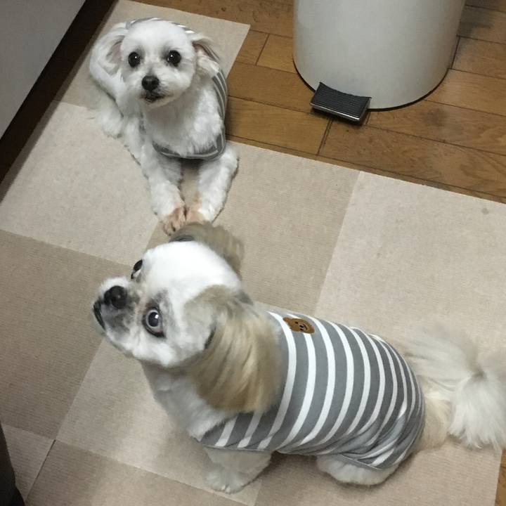 Ba6a6f81 ddd8 40af 9e6e 6933c8a1b1c1 1606130105953