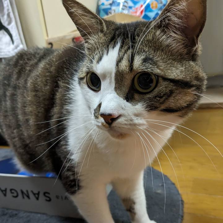 Ba6abd95 a6c2 4b98 8e89 bbee89476d92 1708427726216