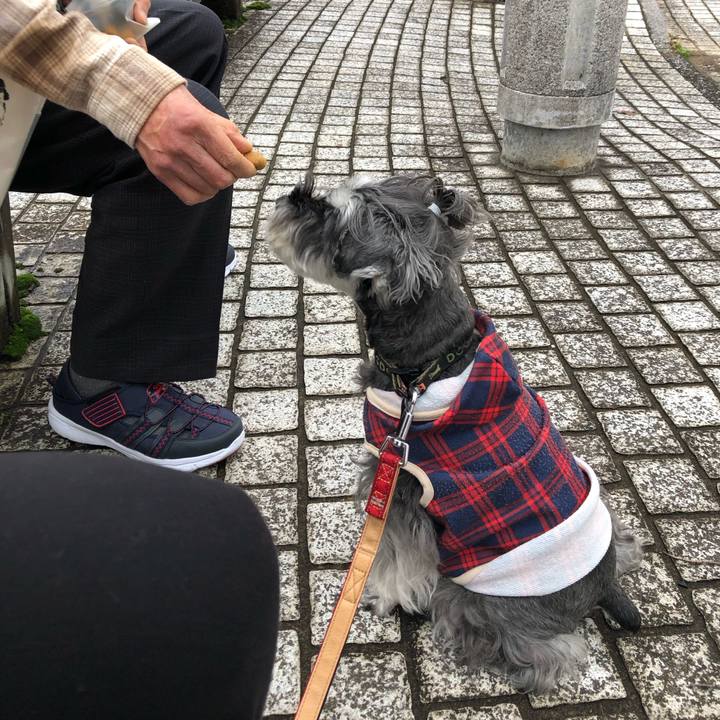 Ba6ad2a8 54f1 4a08 b30e f8fe9c3ecd5d 1702732372375