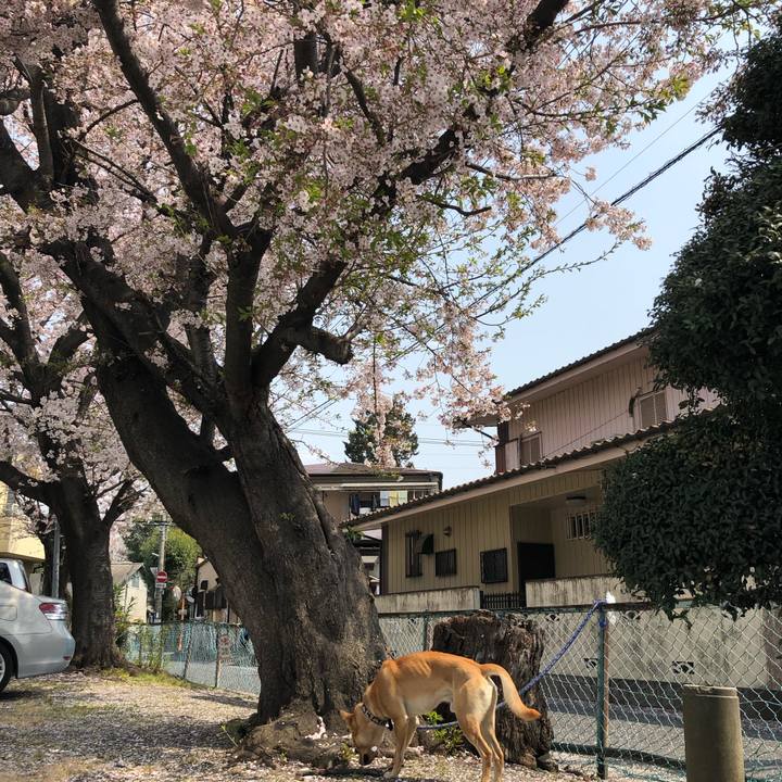 Ba6adb44 a25a 443b be19 8f1105f7abc2 1554613268812