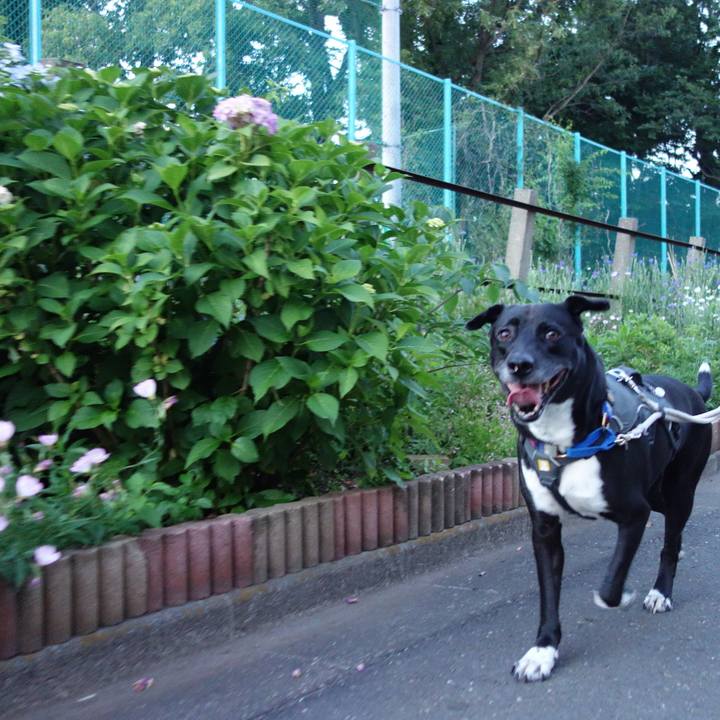 Ba6aeba6 f151 4d79 a0cc e62c29d52086 1653736031942