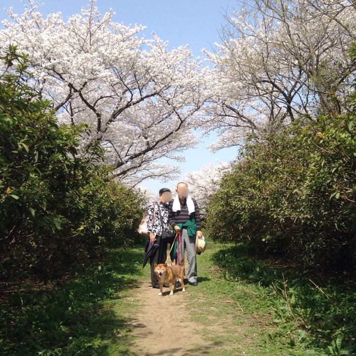 Ba6aede7 12e6 42d8 b7dd 5d26feb919ed 1522314335161