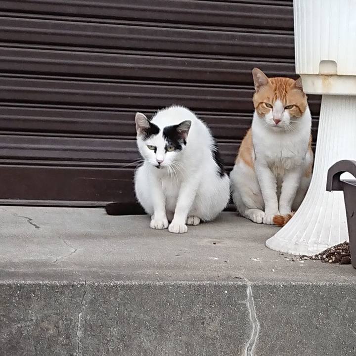 Ba6afdfa 6b91 4952 838e e9afb86e525f 1562401031017