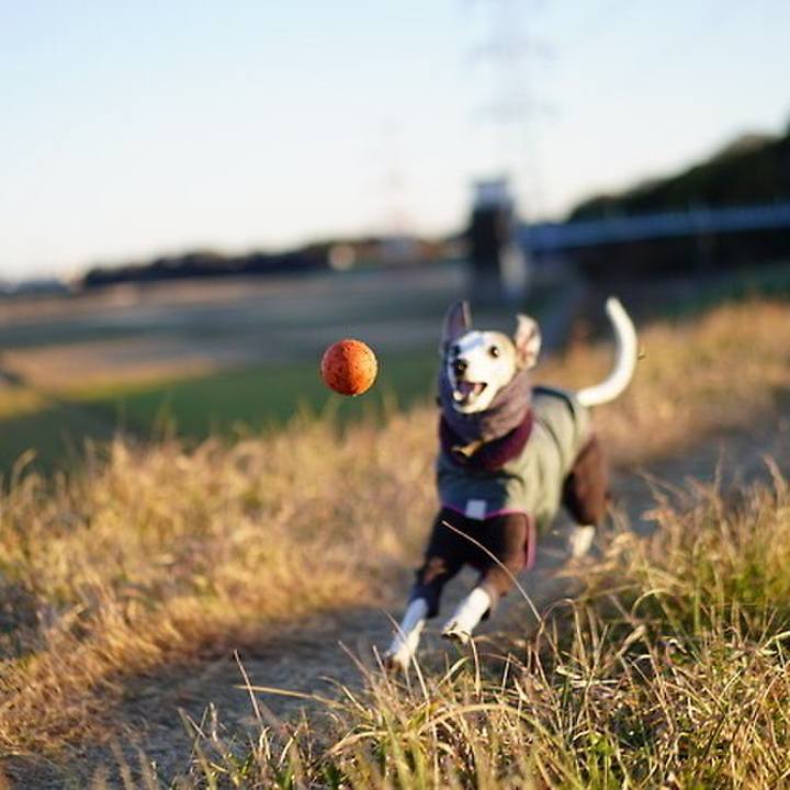 Ba6b0e18 76d2 454a 8108 416ac79d8364 1547032597629