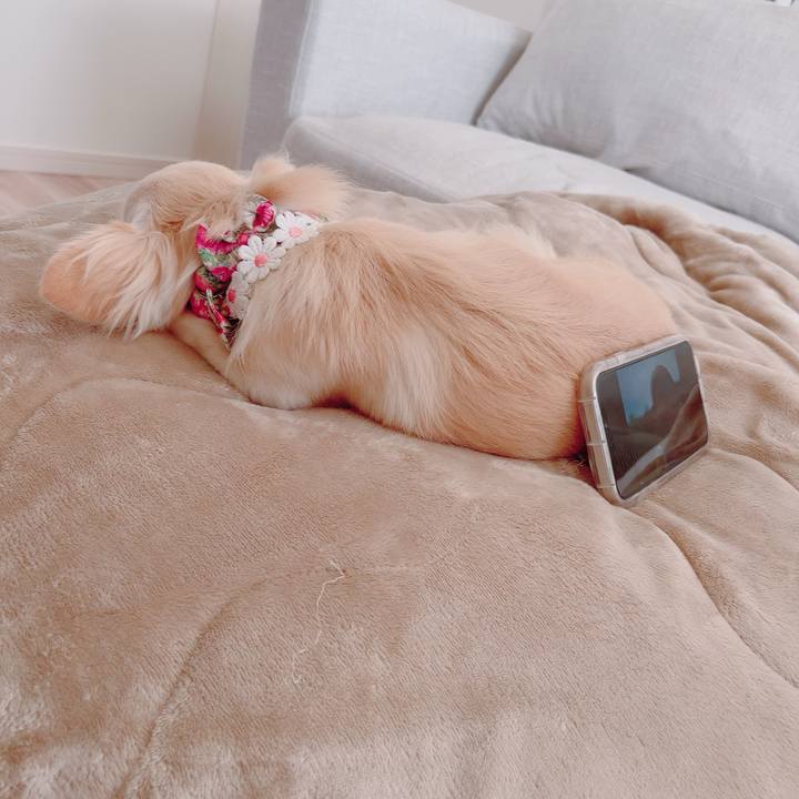 Ba6b6d00 f6b9 4aab a961 9caf54d636b4 1692971994076