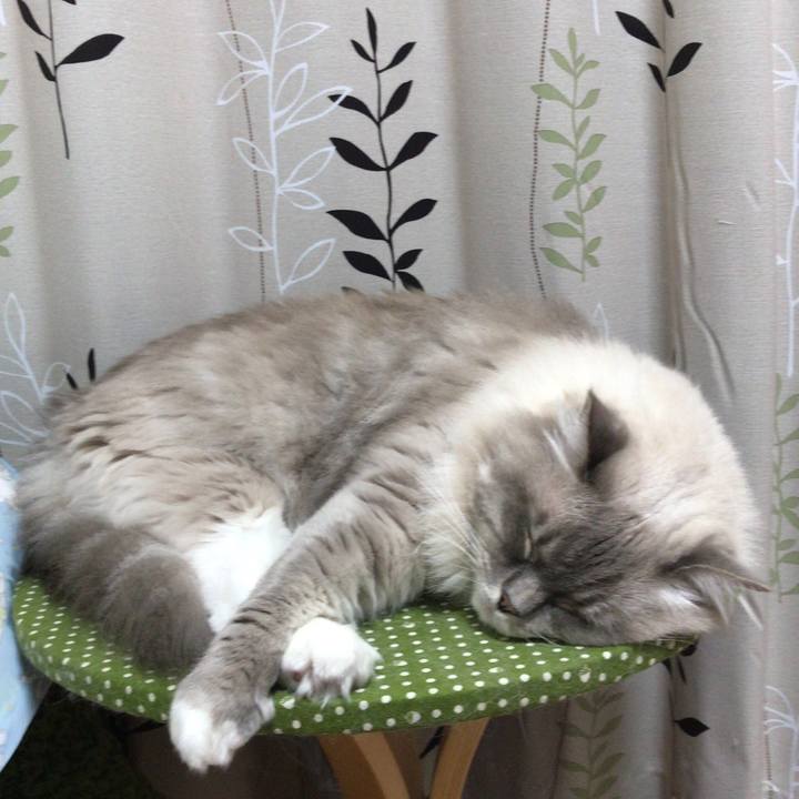 Ba6b86e1 e7cd 4458 a32e 1d0e5eb783aa 1509257656441