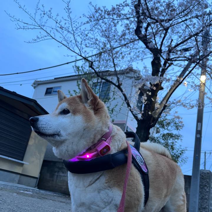 Ba6baf58 f46c 471e 8c06 7c58f65124bf 1712052989030