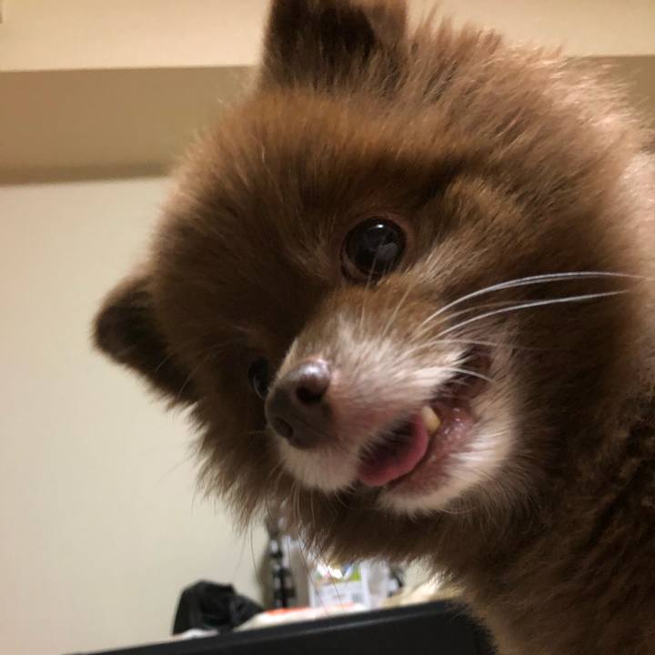 Ba6bbcf5 b44a 4e41 8628 33a14ed8eee3 1541296888352