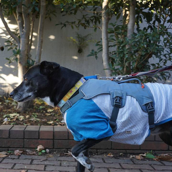 Ba6bd3fd e9b7 4b03 b842 c7a2f5f4d7df 1763079744120