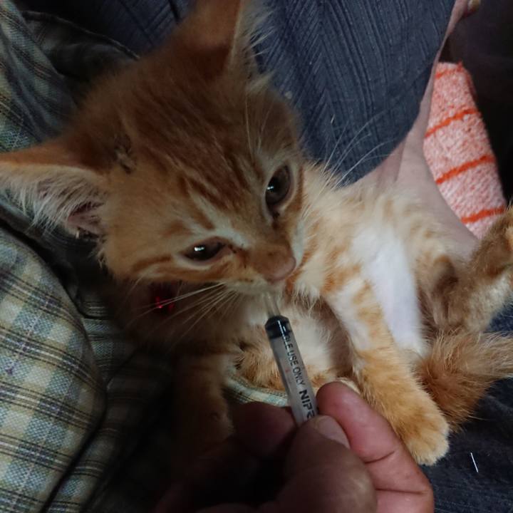 Ba6be429 9de3 45c9 922f ffa42f5a6990 1628459233195