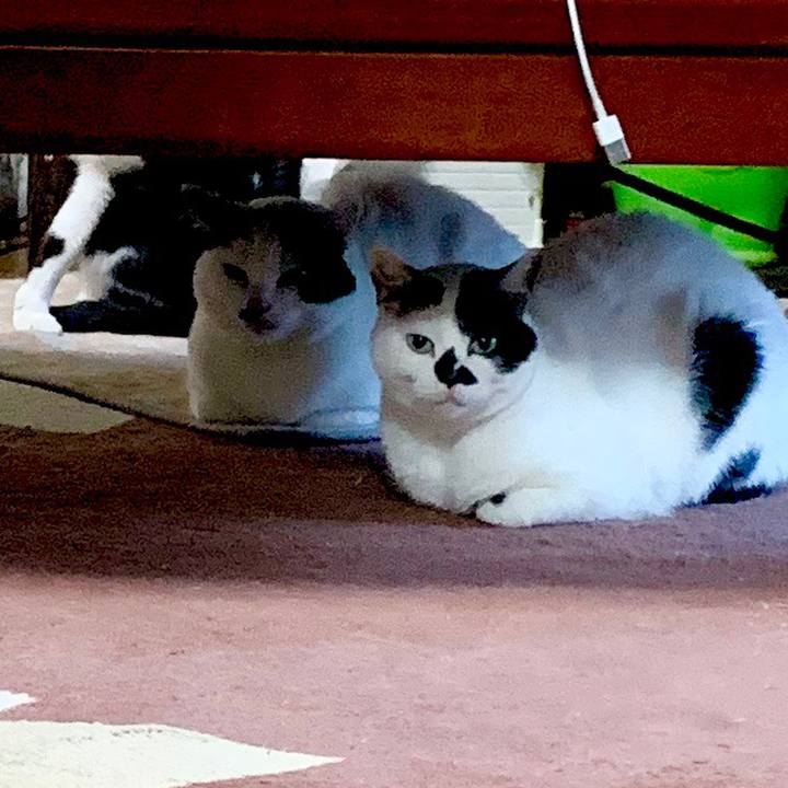 Ba6be865 aab9 4c4c a457 9b73e6669f11 1585176964116