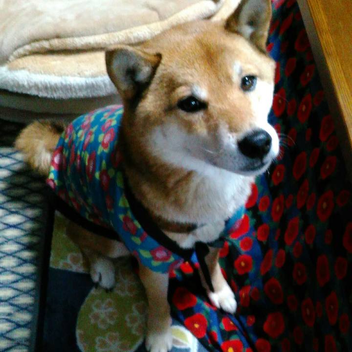 Ba6c0406 5dda 438e af8d 7391c5a43596 1515375196204