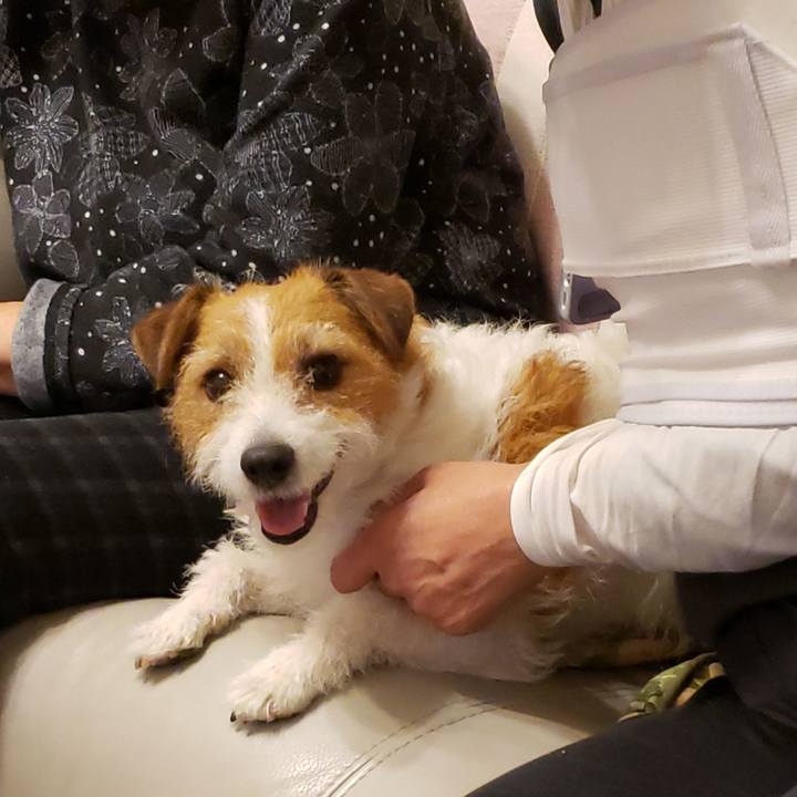 Ba6c2b59 ab1b 4cc7 b856 c096266a6dc9 1649578264857