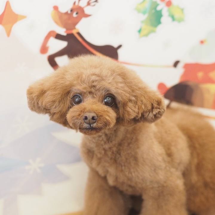 Ba6c5110 ffc0 4634 b2f8 199a61356bfa 1640559889187