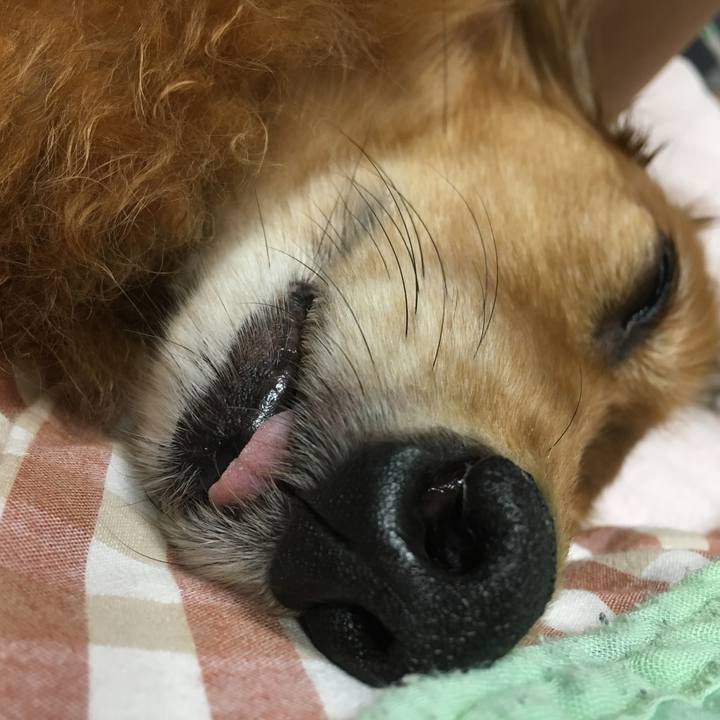 Ba6c7351 8ee4 4131 92e5 bf09003ae87f 1563713988313