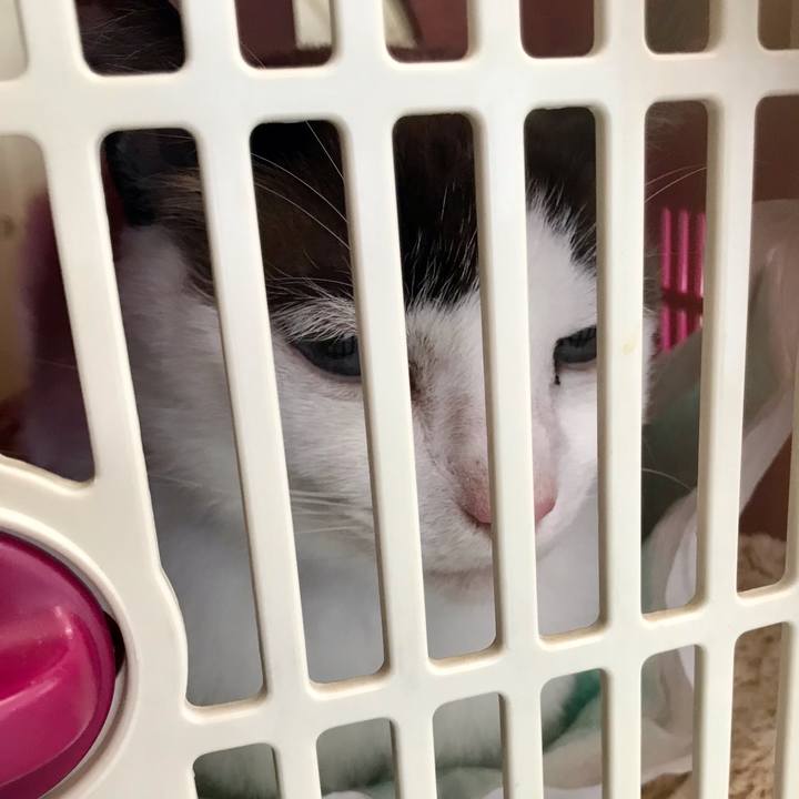 Ba6caf5d e50f 46c2 9d2e 150702831287 1614775527127