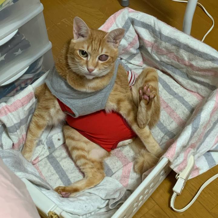 Ba6cb743 a359 4008 8728 28238e844463 1606452939601